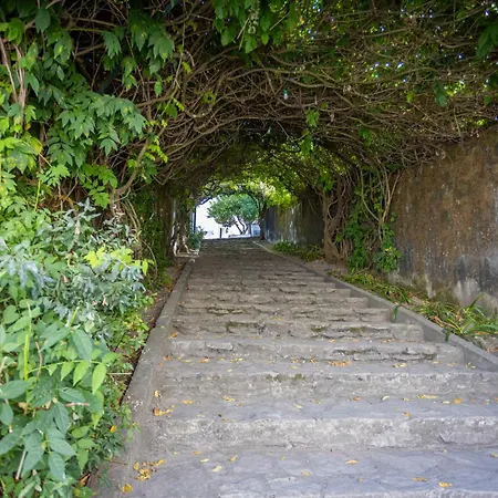 De - Fatima מלון אורם